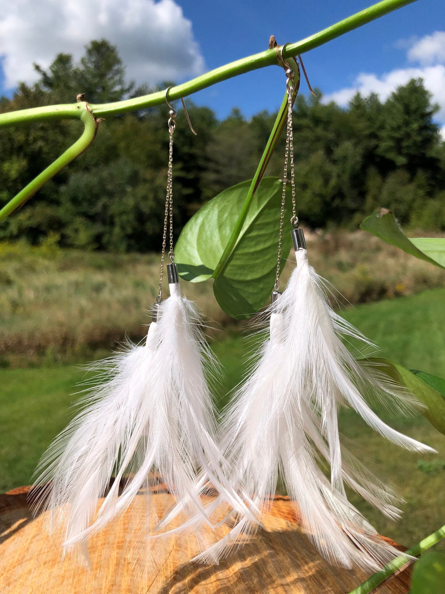 White Dove Dangle Earrings in Silver